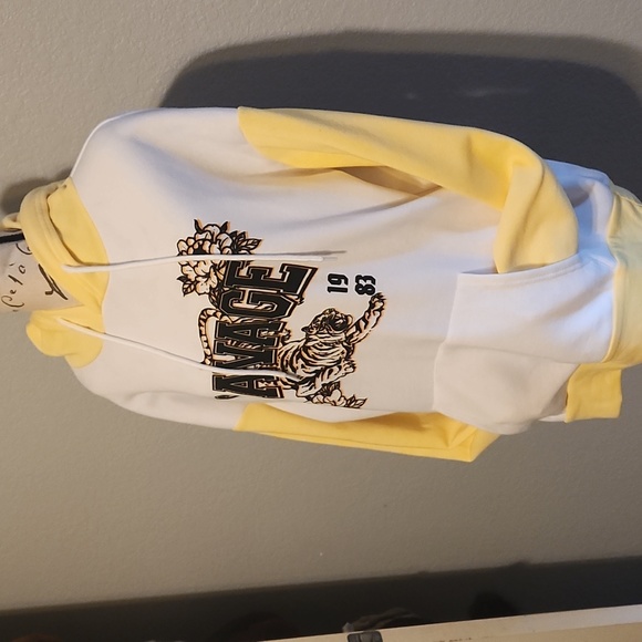 Stella viva - Picture 2 of 5